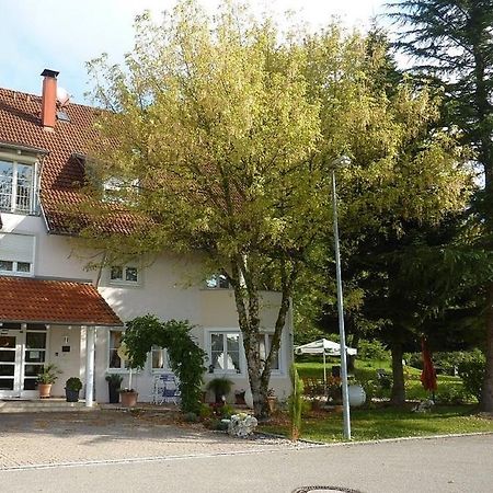 Hotel Schlossmatt Schwörstadt المظهر الخارجي الصورة
